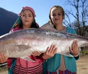 غذای خوش پخت دهاتی؛ خانومه ماهی غول رو انداخت کولش آورد سه سوته تیکه تیکه و سرخش کرد