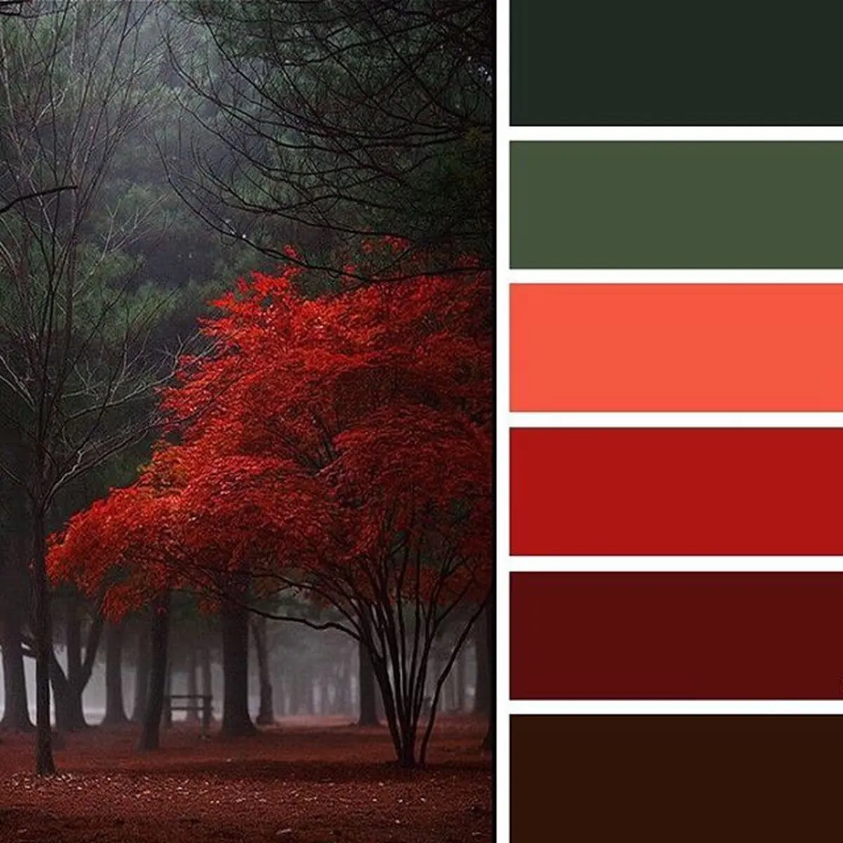 Red- Nature