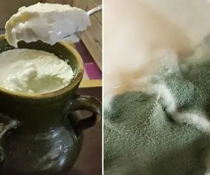 ماست خوشمزت هی خراب میشه تو رو حرص میده؟ با ترفندای نگهداری کپک از کنارشونم رد نمیشه