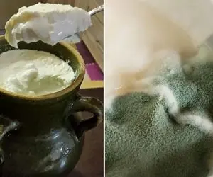 ماست خوشمزت هی خراب میشه تو رو حرص میده؟ با ترفندای نگهداری کپک از کنارشونم رد نمیشه