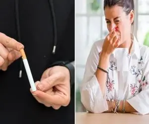 از بین بردن بوی سیگار در خانه/ آقاتون انقد سیگار کشیده بوش تو خونه غالبه اینجوری میره