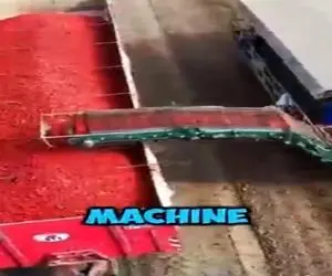 کشاورزی نوین؛ ماشین گوجه چین ساختن آت آشغالاشو جدا میکنه انقد نرم پرتشون میکنه تو سبد