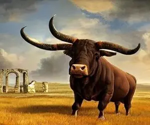 گاوهای باورنکردنی؛ به گاو نر هورمون زدن عضله ای شه به جاش سه تا شاخ درآورد