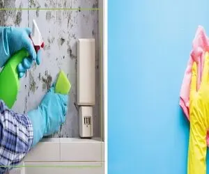 دیوارای خونه ات  پر از لکه ان و کثیف؟ با این ترفندا میشن مثله آینه باهات حرف میزنن!