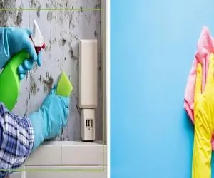 دیوارای خونه ات  پر از لکه ان و کثیف؟ با این ترفندا میشن مثله آینه باهات حرف میزنن!