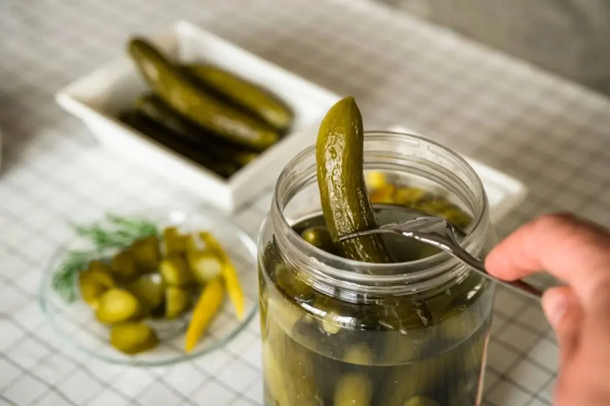 خیارشور