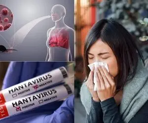 هانتاویروس از چه حیوان و کشوری متولد شد و چقدر مرگ و میر دارد؟ به ایران رسیده؟