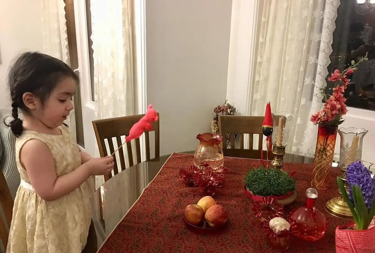 فهیمه3