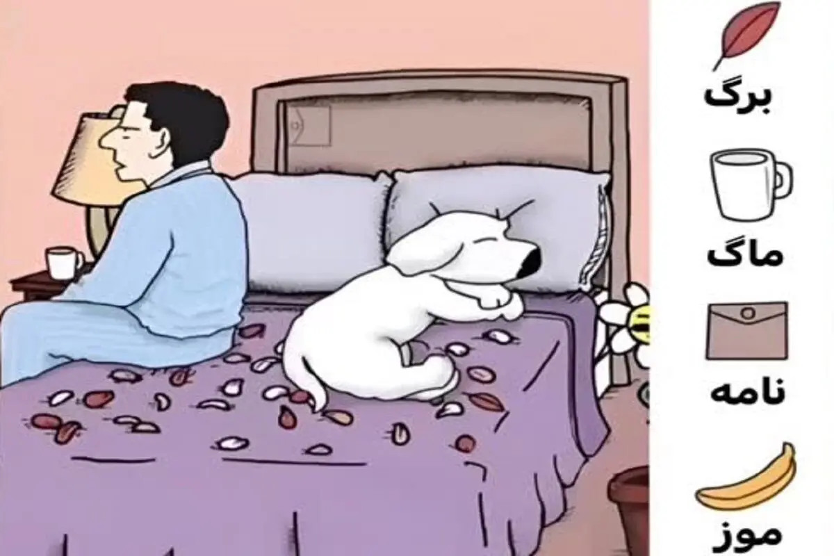 فرج