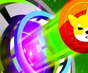 شیبااینو رو پل لغزنده قرارگرفت؟