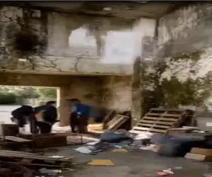 معماری خلاقانه؛ از دل ویروونی خونه گلستون ساختن کیف میکنی از این ترنسفورمیشن