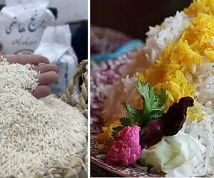ترفند از بین بردن سوسک برنج؛ نیاز به حرص خوردن نداره وقتی انقدر راحت پاکسازی میشه