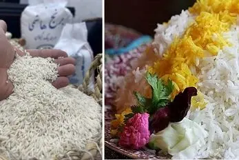 ترفند از بین بردن سوسک برنج؛ نیاز به حرص خوردن نداره وقتی انقدر راحت پاکسازی میشه