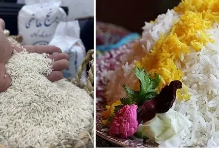 ترفند از بین بردن سوسک برنج؛ نیاز به حرص خوردن نداره وقتی انقدر راحت پاکسازی میشه