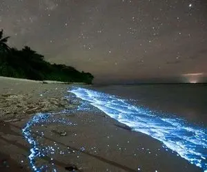 جاذبه های گردشگری جزیره هنگام در منطقه آزاد قشم 