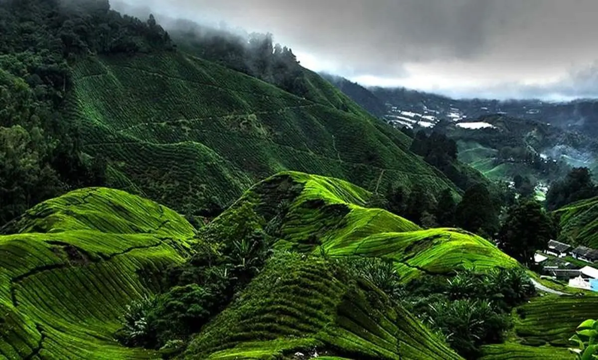 بهترین زمان سفر به مالزی، ژوئن، جولای و آگوست - تصویر 1