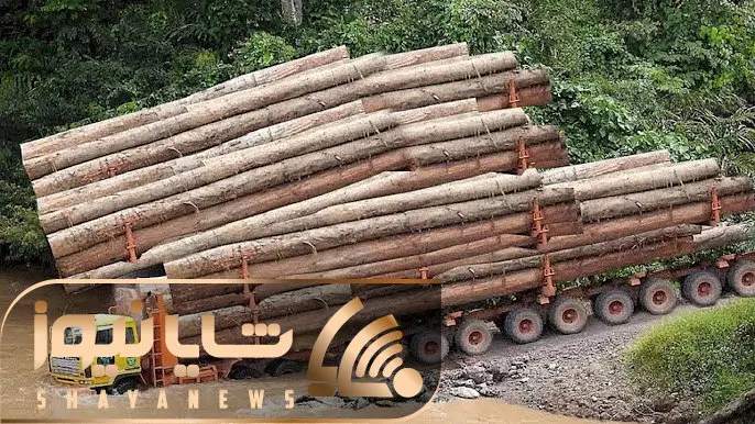 جا به جایی های جانکاه؛ راننده تریلی احمق واسه اینکه بار الوارش زودتر برسه رفت زیر آب