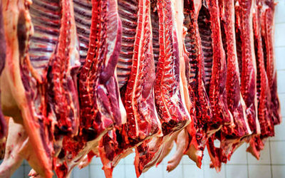 کشف 3 تن گوشت گراز و خوک در تهران!