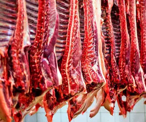 کشف 3 تن گوشت گراز و خوک در تهران!