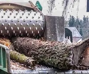 ماشین های پرشگفت؛ ببینید این هیولا چجور درخت چند متری رو درسته پودر میکنه