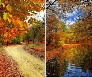 معرفی نقاط دیدنی کلاردشت / اگه عاشق طبیعتی این سفر خاص پاییزی رو از دست نده