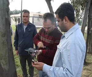 این عکس صدای همه را در آورده؛ پلاک کوبی درختان چقدر خطرناک است؟!