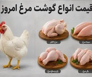 قیمت مرغ امروز یکشنبه 1 شهریور 1405 / فیله مرغ چقدر شد؟
