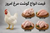 قیمت مرغ امروز یکشنبه 1 شهریور 1405 / فیله مرغ چقدر شد؟