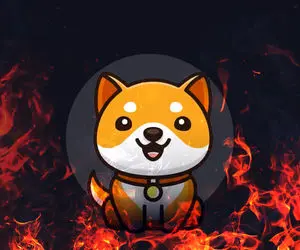 رقیب شیبااینو بیبی دوج زد رودست میم کوین ها؟!