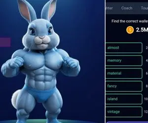 کد انیگما راکی رابیت (rocky rabbit) امروز شنبه 17 شهریور + آموزش وارد کردن