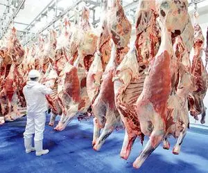 قیمت گوشت قرمز امروز ۲۸ خرداد ۱۴۰۵ + جدول