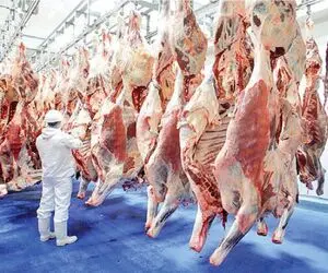 قیمت گوشت قرمز امروز ۲۸ خرداد ۱۴۰۵ + جدول