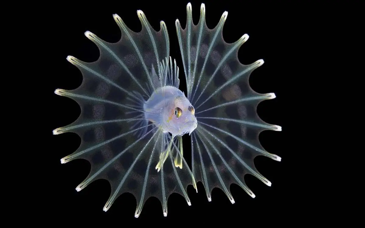 39025596-9236701-image-a-30_1612795469278