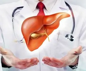 هرآنچه که باید درباره کبد چرب بدانید؛ از انواع تا تشخص و درمان