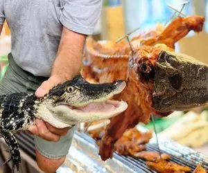 فرآوری تمساح؛ تولید گوشت تمساح مرغوب و چرم تمساح لوکس برای بازارهای جهانی