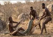 مستند حیات وحش؛ بربرهای برهنه پیتونی که تهدید جون آدمای قبیله  بود ملعبه کردن