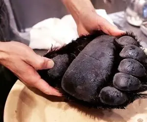 غذای ژاپنی؛ پنجه سیاه خرسو انداختن تو آب جوش با موچین موشو کندن باهاش سوپ لاکچری پختن