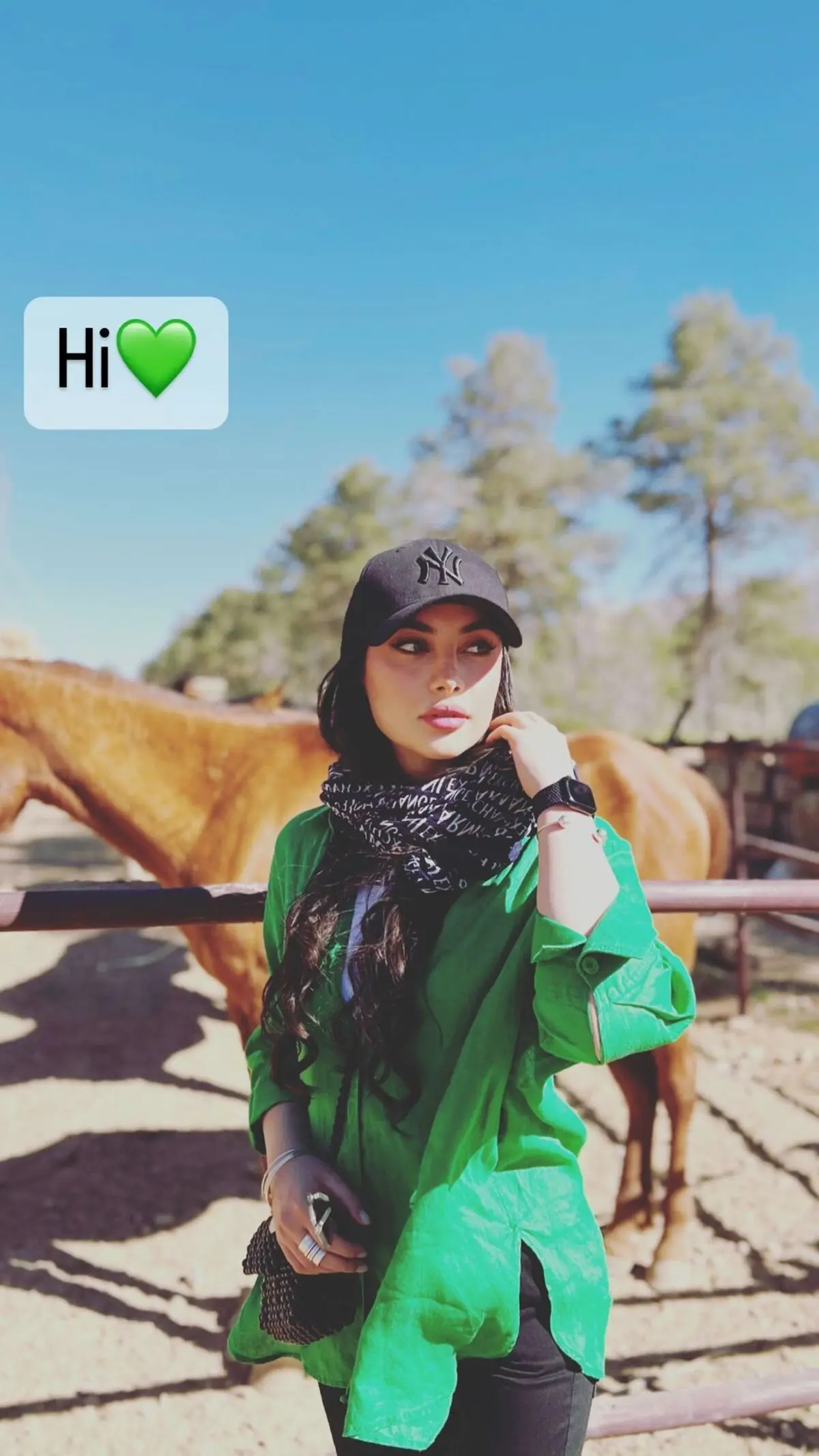 tarlan_parvanee_s instagram 2023-4-17 story