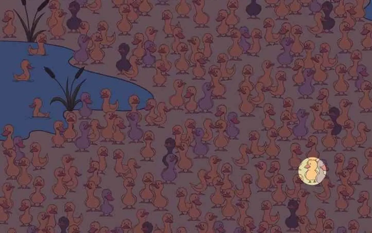 54