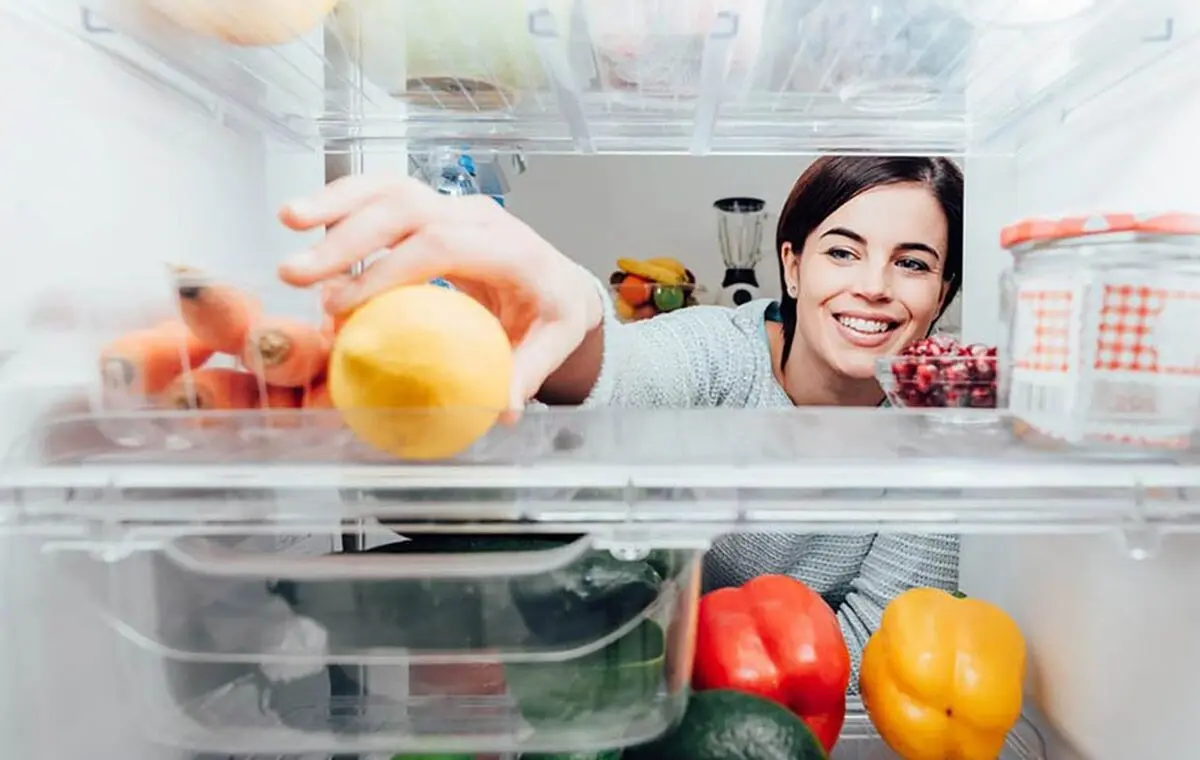 refrigerator-2