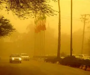 مدارس و دانشگاه های استان بوشهر تعطیل شد