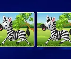 بازی فکری؛ عالیجناب صدراعظم باهوشا بیا تفاوت گورخرهای راه راه رو بگو