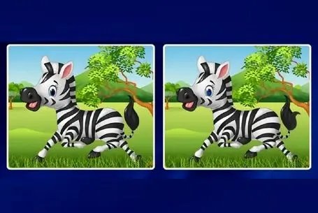 بازی فکری؛ عالیجناب صدراعظم باهوشا بیا تفاوت گورخرهای راه راه رو بگو