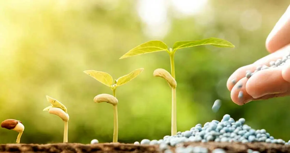 برا رشد گل چی خوبه