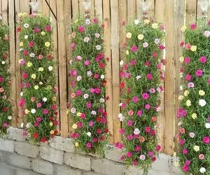 ایده های خلاقانه؛ این آویزای گل که با بطری های پلاستیکی درست میشه خوراک چیدمان تراسن