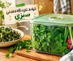 ترفند تازه نگه داشتن سبزی تا 1 هفته بدون پلاسیدگی و لزج شدن؛ فوت و فن لازم هر کدبانو