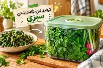 ترفند تازه نگه داشتن سبزی تا 1 هفته بدون پلاسیدگی و لزج شدن؛ فوت و فن لازم هر کدبانو