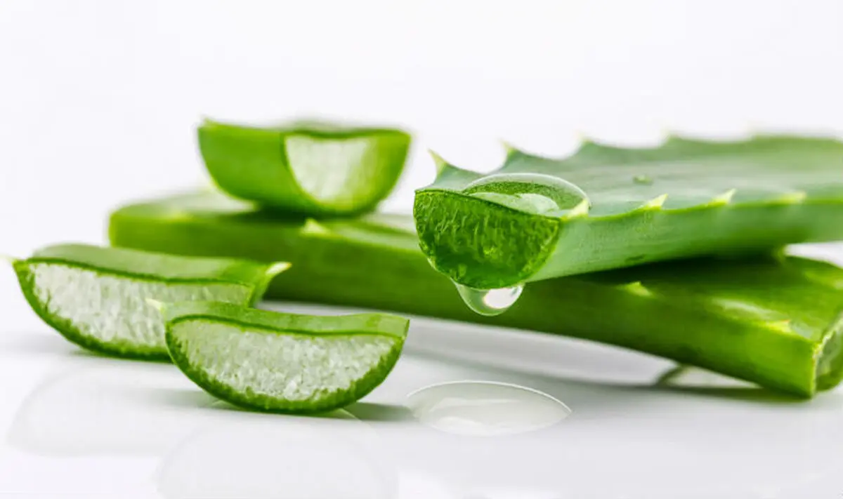 Aloe vera fairness treatment