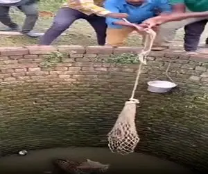 معماری طبیعت؛ ببر مردای روستا رو کشوند تو چاه نفله شون کرد