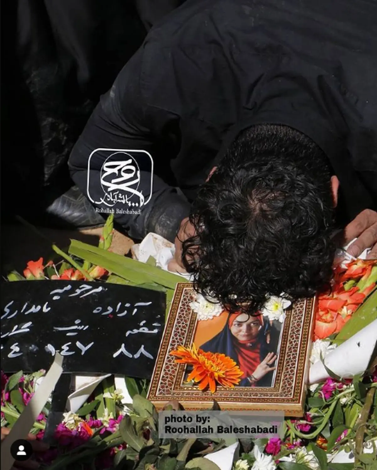 آزاده+نامداری